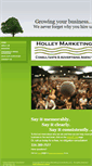 Mobile Screenshot of holleymarketingconsultants.com